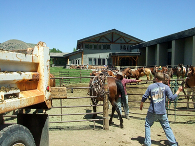 Jackson Hole - July 2010 (45).JPG